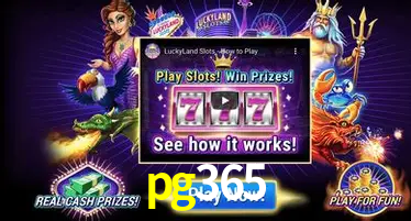 Cassino ao vivo com dealers reais na pg365